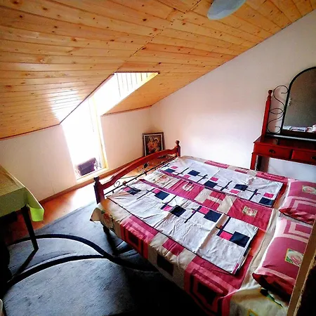 Seagull Low Budget Apartment