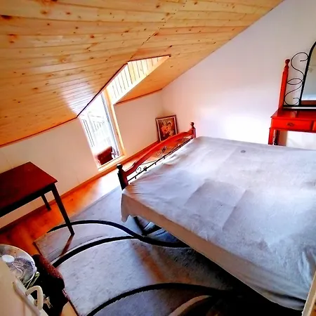 Apartment Seagull Low Budget *